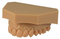 prime4me® base model